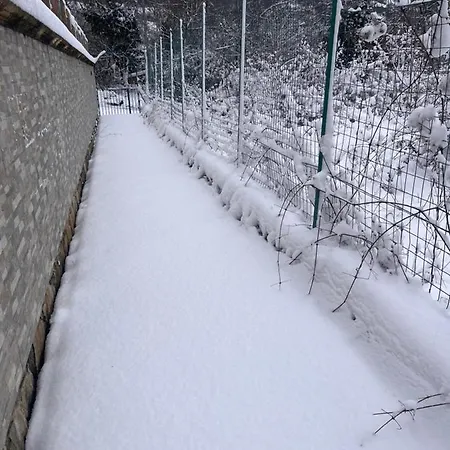 La Casa Nella Pinetina 아파트 *