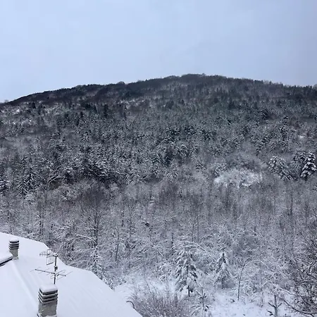 La Casa Nella Pinetina Appartement