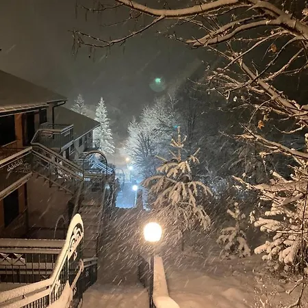 La Casa Nella Pinetina 아파트