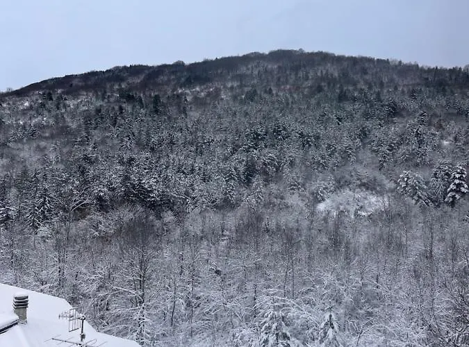 La Casa Nella Pinetina Апартаменты