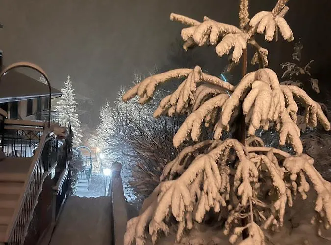 La Casa Nella Pinetina Апартаменты Альфедена