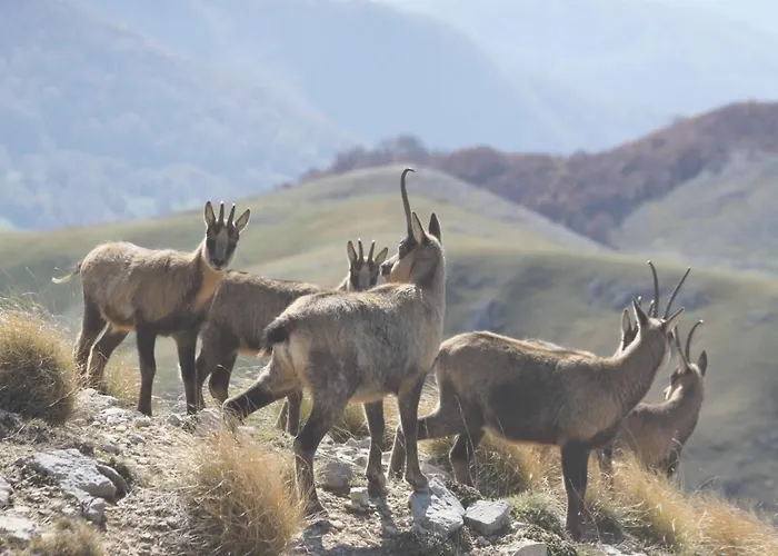 La Casa Nella Pinetina Апартаменты Альфедена